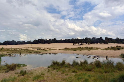 Photo 21 - Chalet Near Loonse and Drunense Duinen