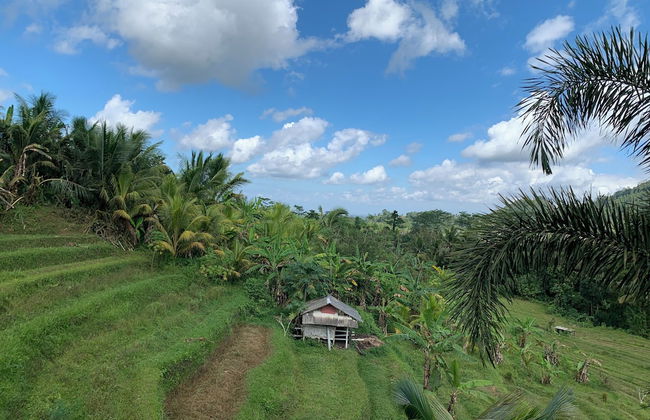 Beji Ayu Villas Sidemen - Foto 4