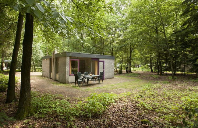 Tidy Bungalow Near the Veluwe - Foto 1