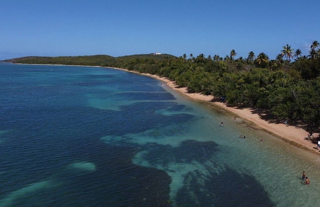 Beachfront Studios - Foto 61