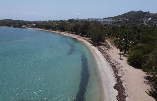 Beachfront Studios - Foto 62