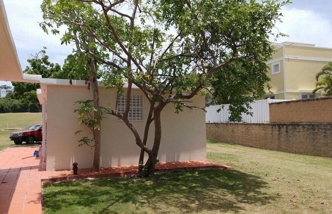 Beachfront Studios - Foto 49
