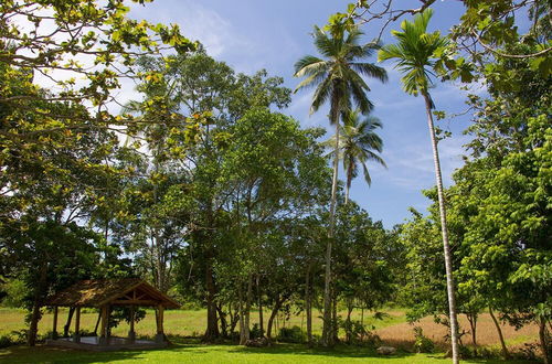 Photo 28 - Family House With Large Garden In A Peaceful Setting