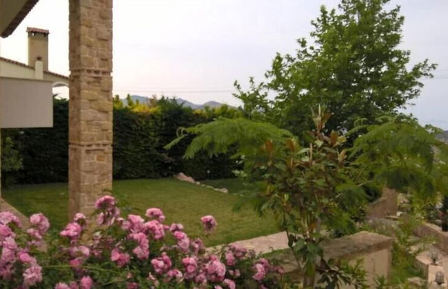 Platanus Gardenhouse - Foto 5