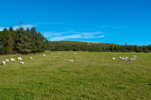 Photo 16 - Wynford Holiday Cottages