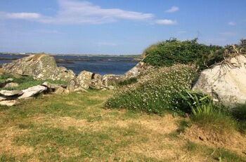 Photo 14 - Seaside Log Cabin, Carna