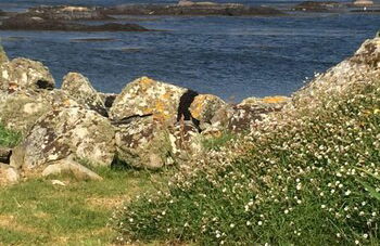 Seaside Log Cabin, Carna - Foto 16