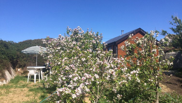 Photo 1 - Seaside Log Cabin, Carna