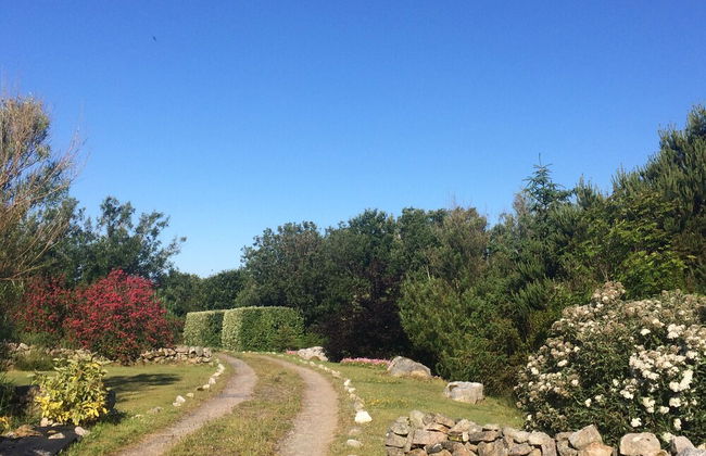 Seaside Log Cabin, Carna - Foto 11