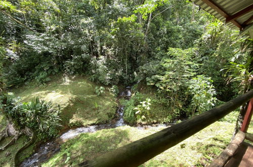 Photo 33 - Esquipulas Rainforest