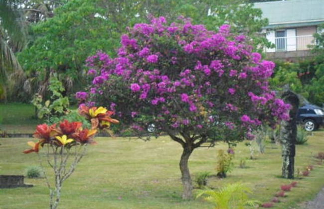 Quest Apartments - Photo 42