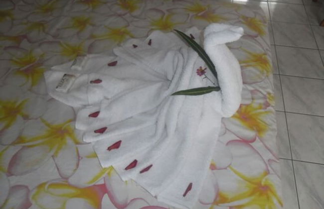 Quest Apartments - Photo 36