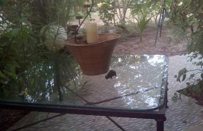 Lovely 3-bdrm Cottage W/private Patios/pkg Sanyang - Photo 26