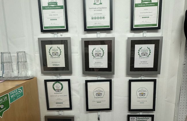 Coral Paradise Resort - Photo 15