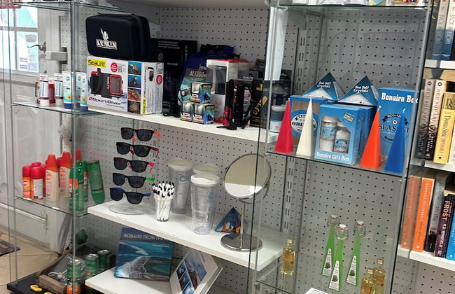 Coral Paradise Resort - Photo 8