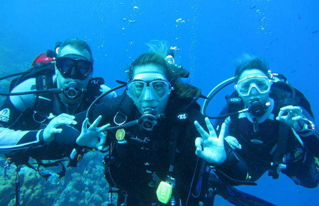 Coral Paradise Resort - Photo 41