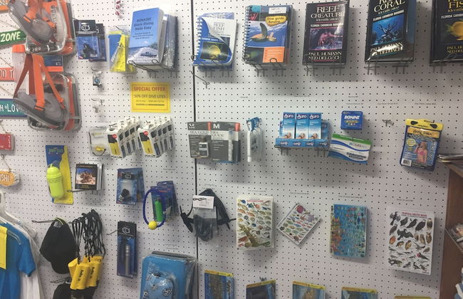 Coral Paradise Resort - Photo 6