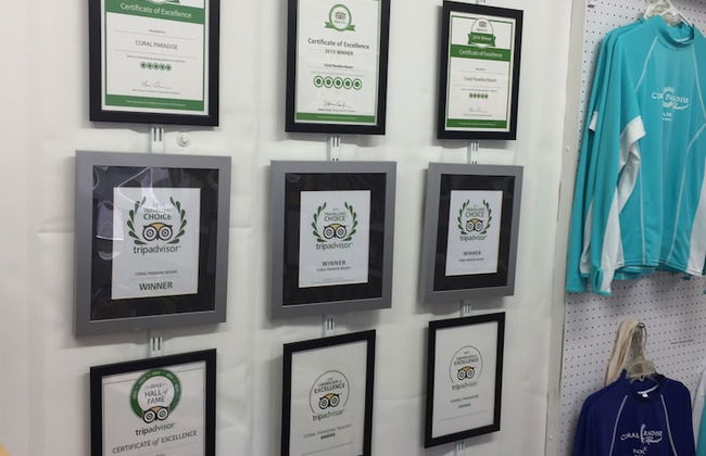 Coral Paradise Resort - Photo 5