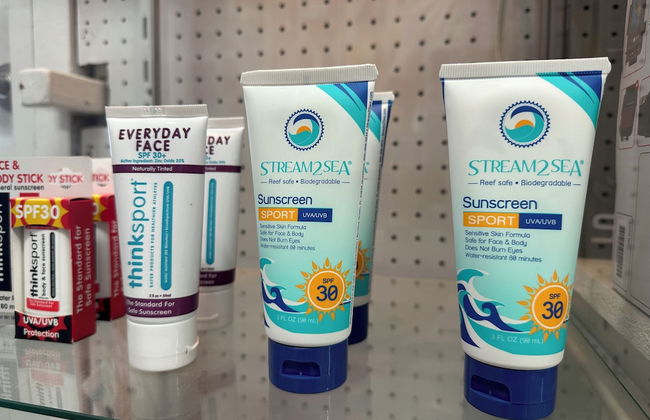 Coral Paradise Resort - Photo 10