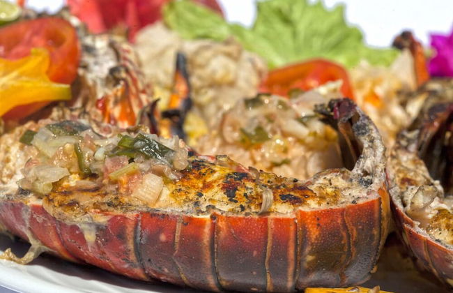 Village Bungalows Chez Honore - Foto 73