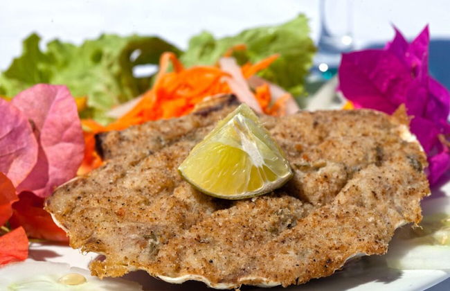 Village Bungalows Chez Honore - Foto 69