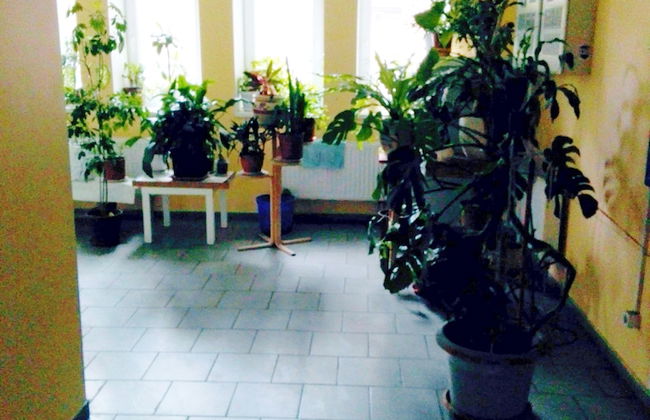 A-Rent in Kiev - Photo 4