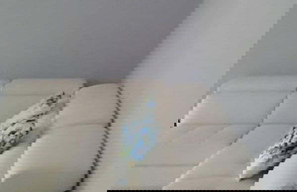 Casa Annick Holiday Home Chianti Area Florence - Foto 11