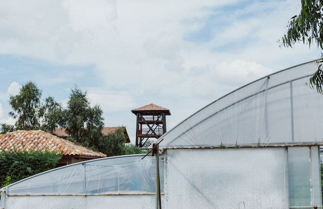 Blerina's Village Project - Foto 77