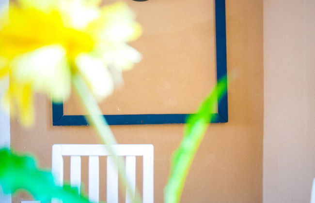 Holiday rental in Havana with garden and terrace - Foto 21