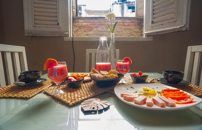 Holiday rental in Havana with garden and terrace - Foto 46