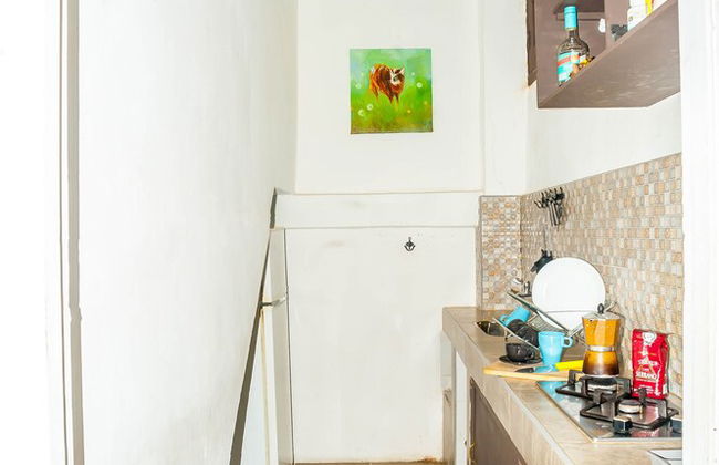 Holiday rental in Havana with garden and terrace - Foto 24