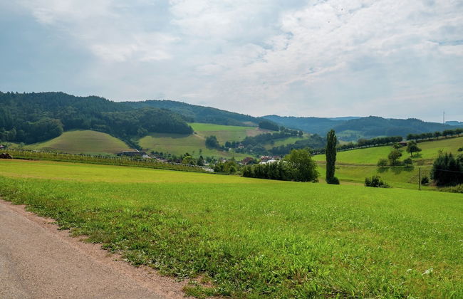 Schwarzwald-ferienwohnung auf dem Bauernhof - Foto 23