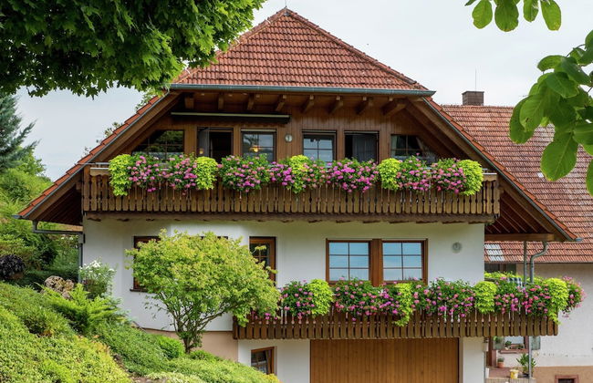 Schwarzwald-ferienwohnung auf dem Bauernhof - Foto 1