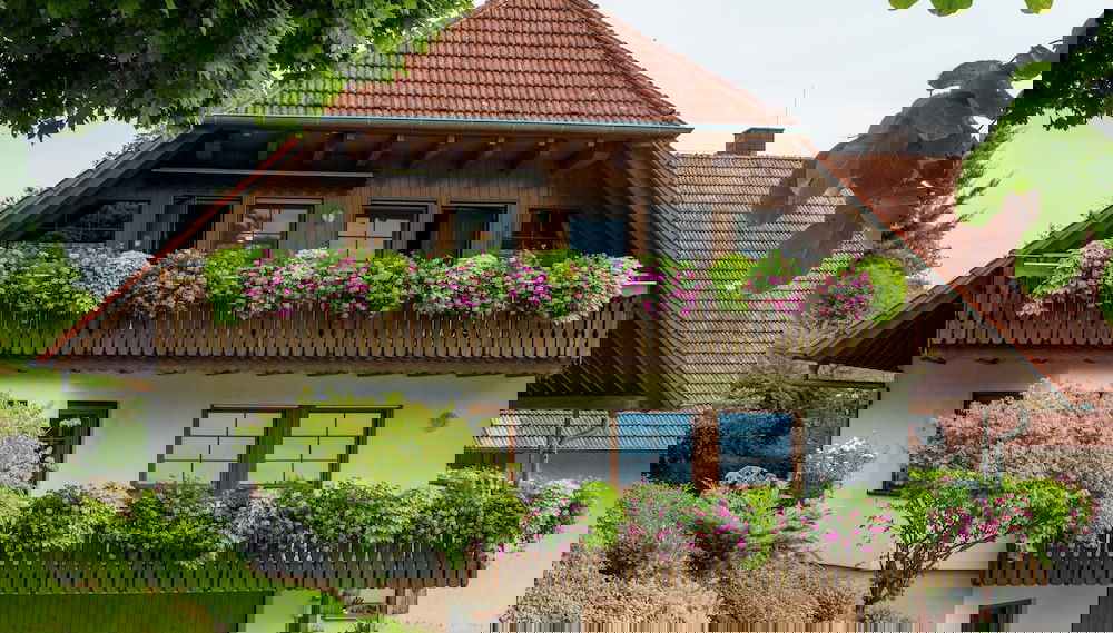 Imagem principal