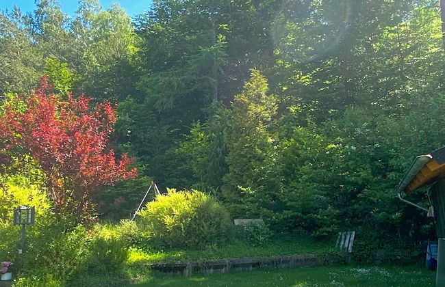 Junkerath Romantic Garden Stay - Foto 16