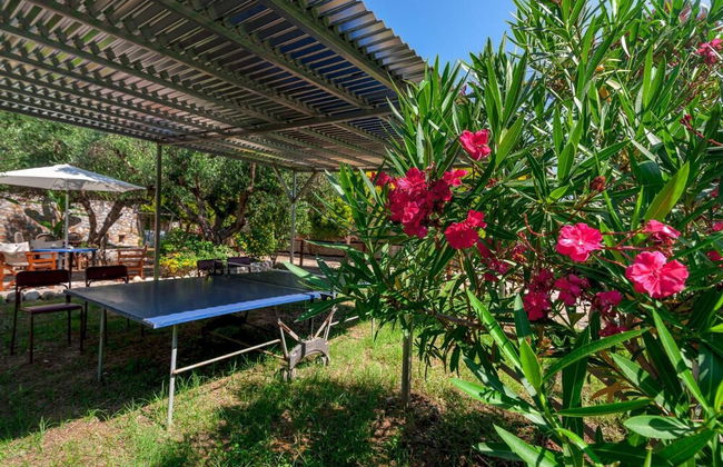 Villa Nineta in Tavronitis - Foto 31