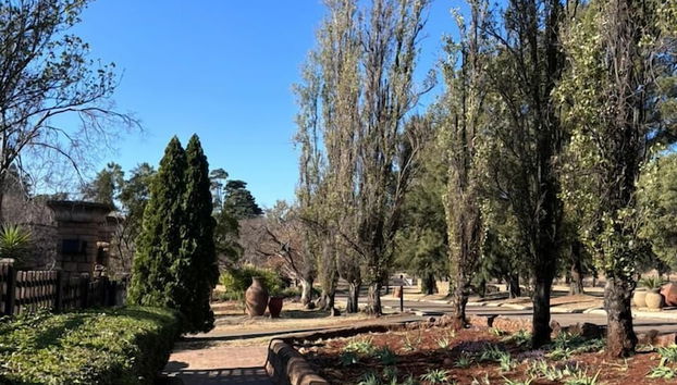 Jardim