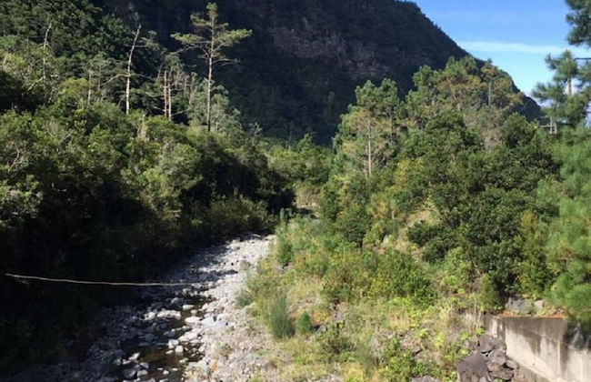 Retiro na Natureza by Madeira Sun Travel - Foto 31