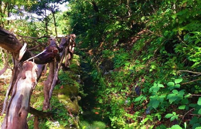 Retiro na Natureza by Madeira Sun Travel - Foto 2