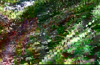 Foto 2 - Retiro na Natureza by Madeira Sun Travel