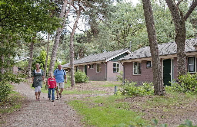 Chalet in De Peel Near Forest - Foto 21