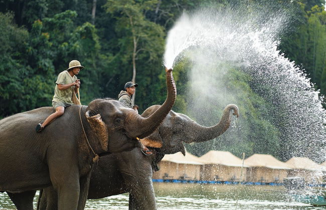 Hueanphae Luang Prabang - Foto 15