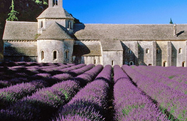 Luxury Villa in Provence With a Private Pool - Foto 38