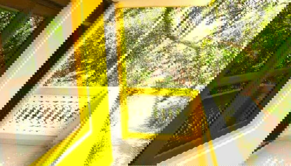 Image principale