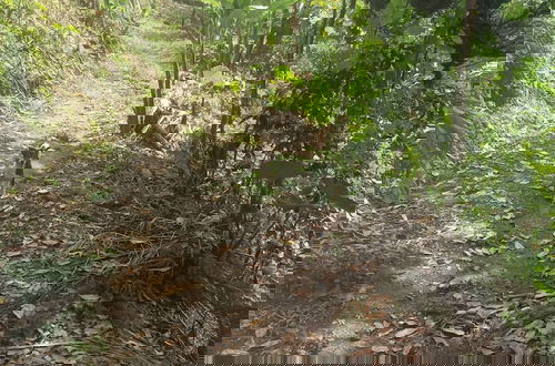 Photo 7 - Sandunga