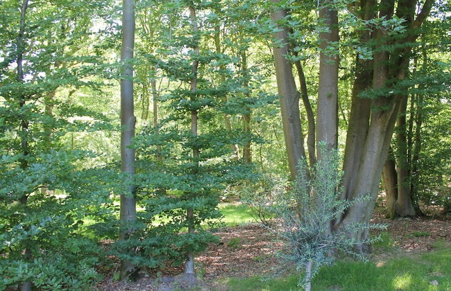Cozy Holiday Home With a Private Garden - Foto 23