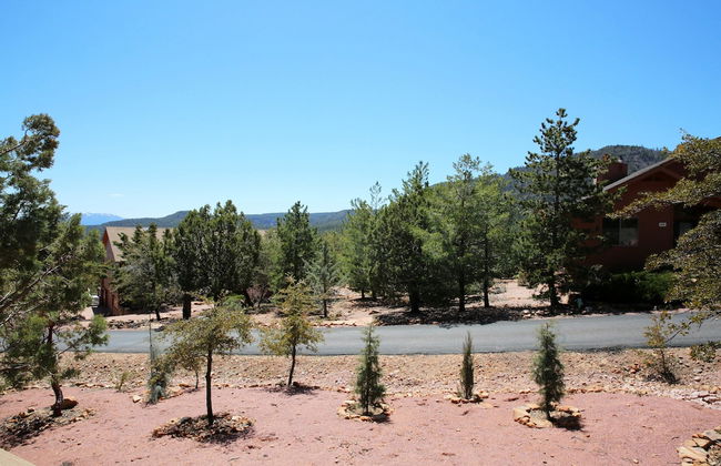 Sundial Circle Pine - Foto 40