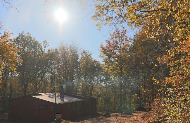 4 Person Holiday Home in Skanes-fagerhult-by Traum - Foto 21