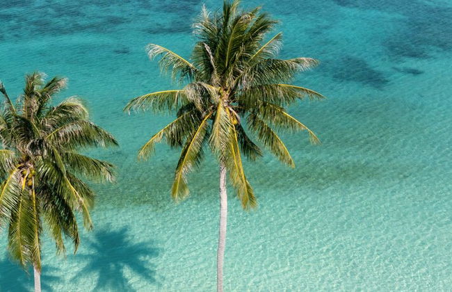 Governors Village Seven Mile Beach Corridor - Foto 38