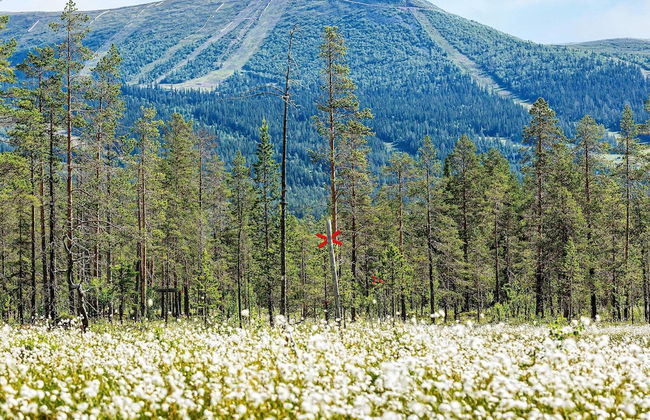 8 Person Holiday Home in Lofsdalen - Photo 24